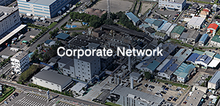 Corporate Network