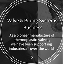 Valve & Piping Systems Business