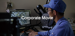 Corporate Movie