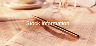 Stock Information